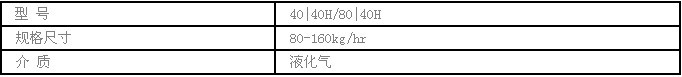 森迪Algas.SDI直燃式气化器