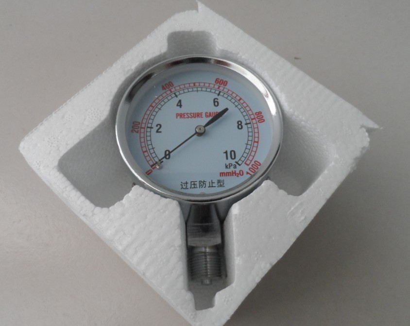 Seismic Pressure Gauge