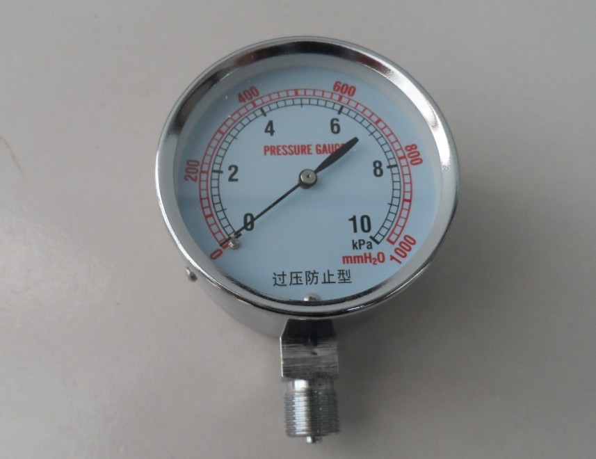 Seismic Pressure Gauge