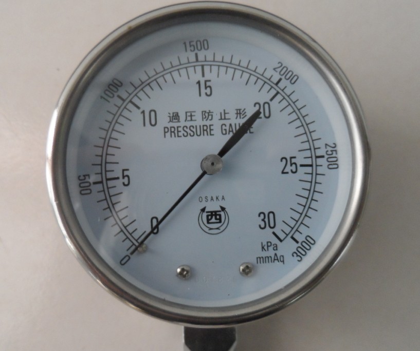 Seismic Pressure Gauge