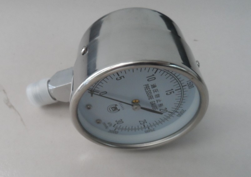 Seismic Pressure Gauge