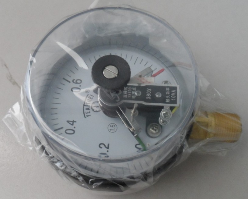 Seismic Pressure Gauge