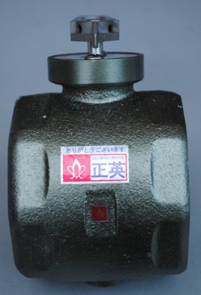 Japan Shoei Valve