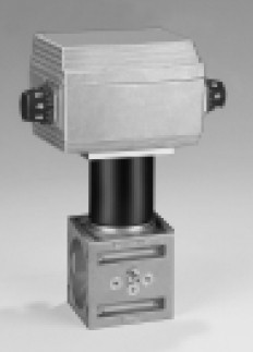 Kromschroder Valve