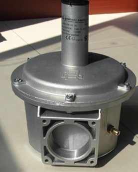 Giulianianell  valve