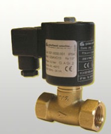 Giulianianell valve