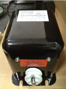Details about   Dongan Ignition Transformer SSI SAA06 120v to 9000 volts 